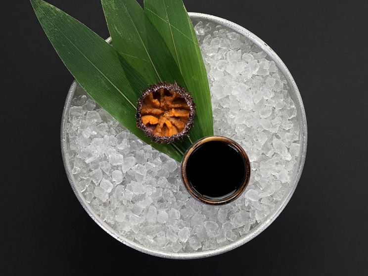 TOKYO More TOKYO More