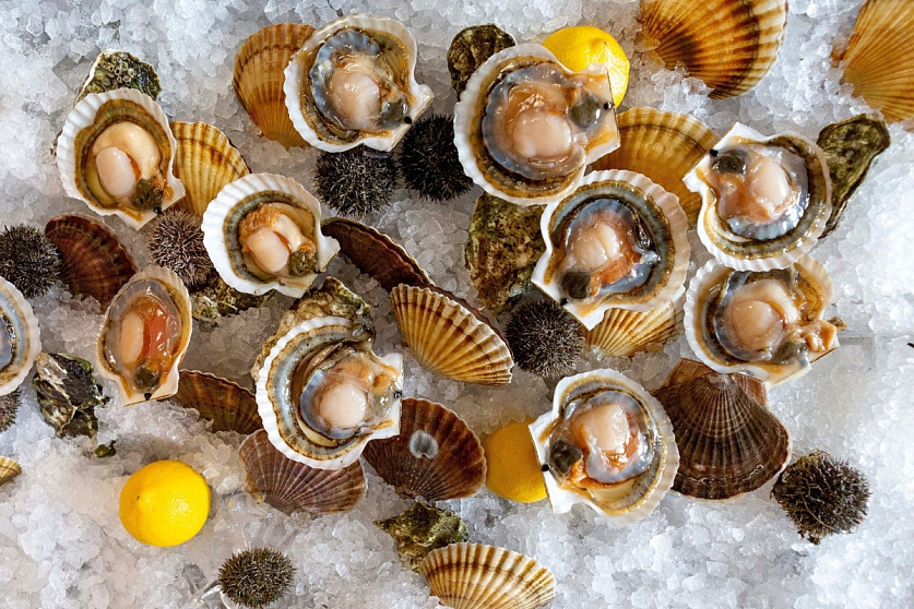 MORE Seafood Bar MORE Seafood Bar